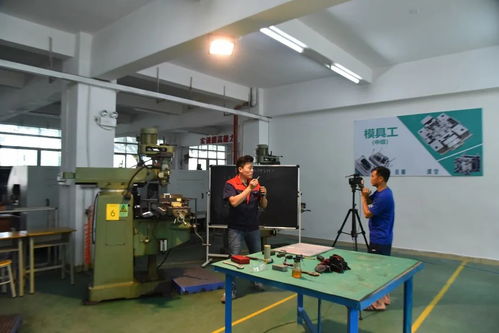 創(chuàng)新培訓(xùn)服務(wù)企業(yè) 寶山技工全面啟動企業(yè)適崗培訓(xùn)工作，聚焦信息技術(shù)咨詢服務(wù)